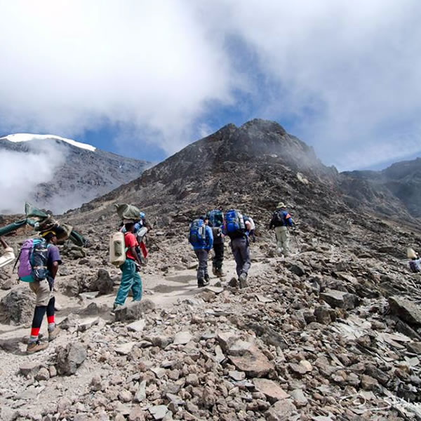 rongai-route-kilimanjaro