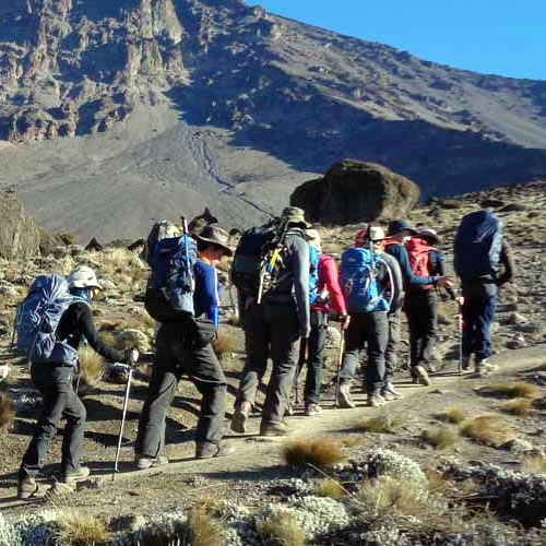 lemosho-route-kilimanjaro