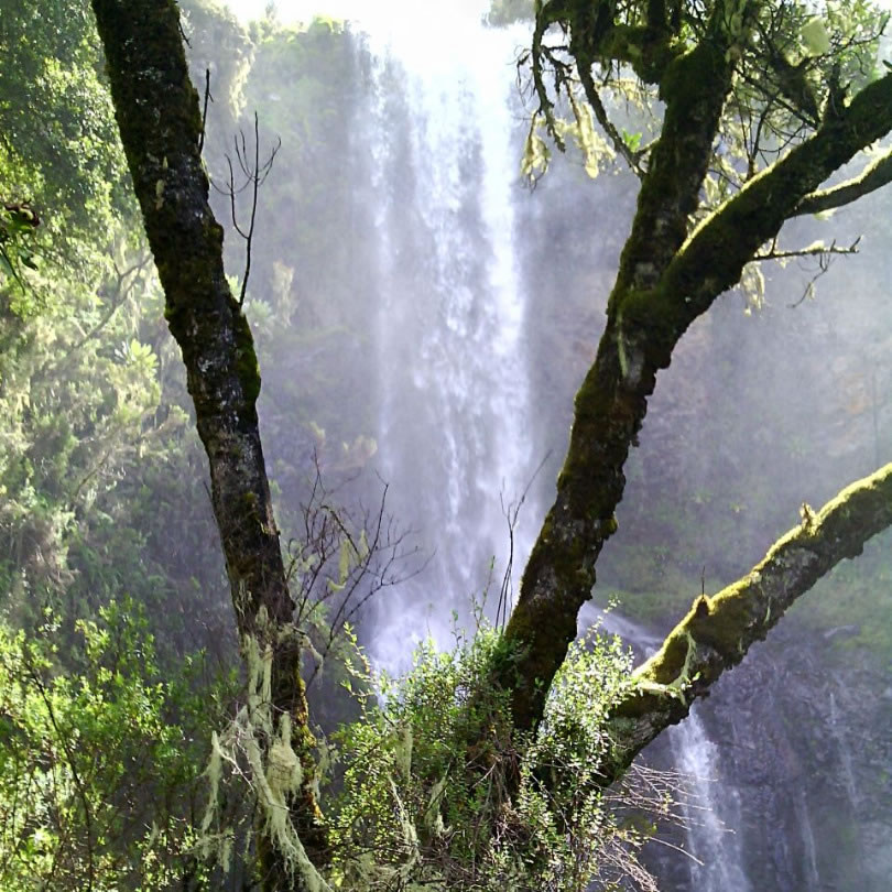 no-picnic-on-mount-kenya-route-burguret-chogoria-route