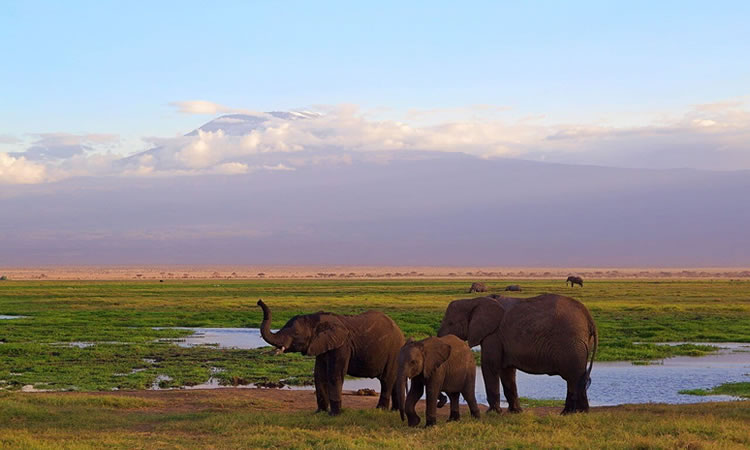 amboseli-national-park