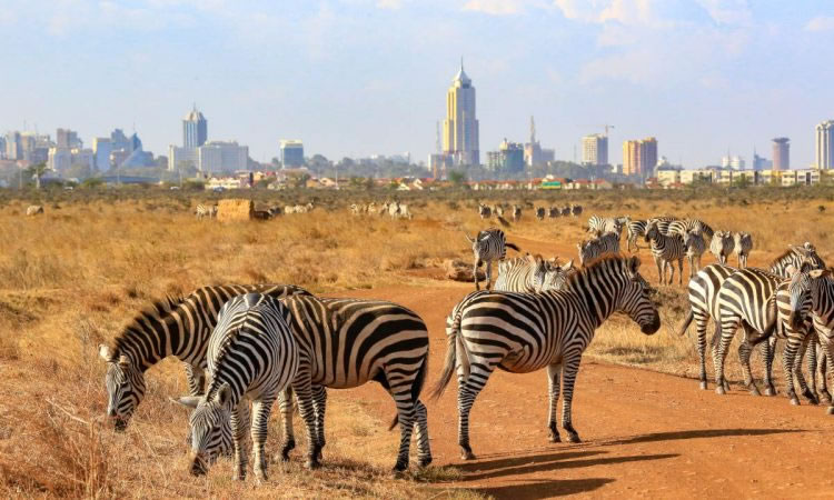 nairobi-national-park