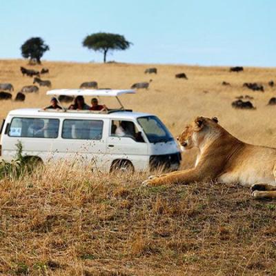 Tn Masai Mara